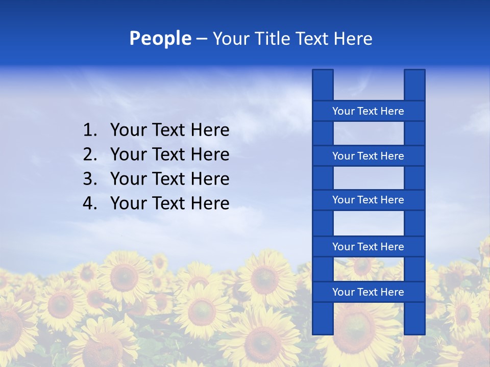 Sunny Field Growth PowerPoint Template