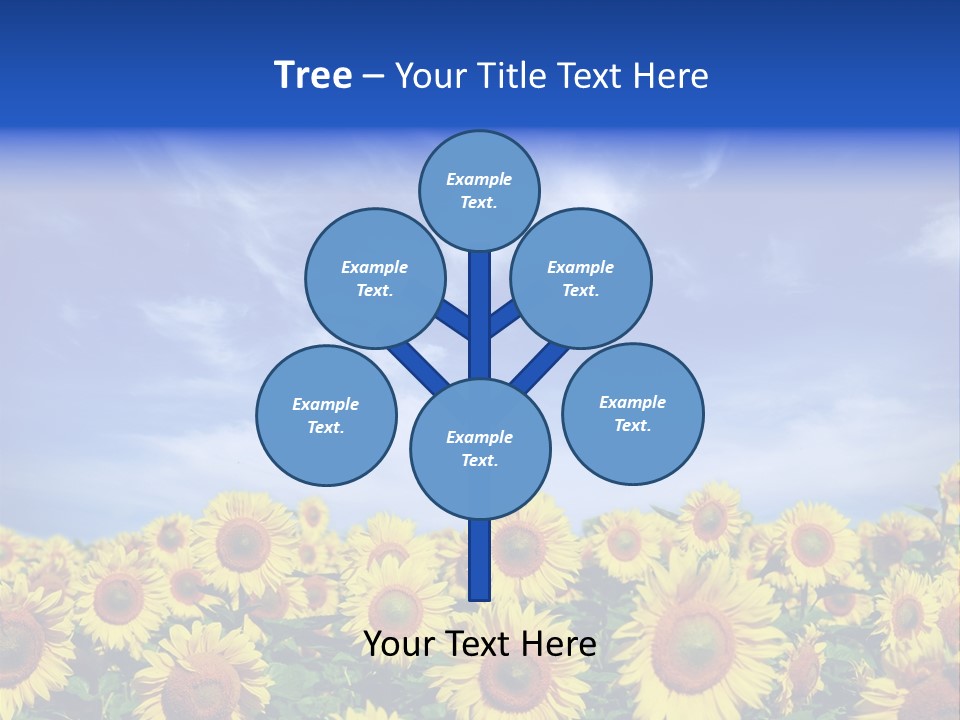Sunny Field Growth PowerPoint Template
