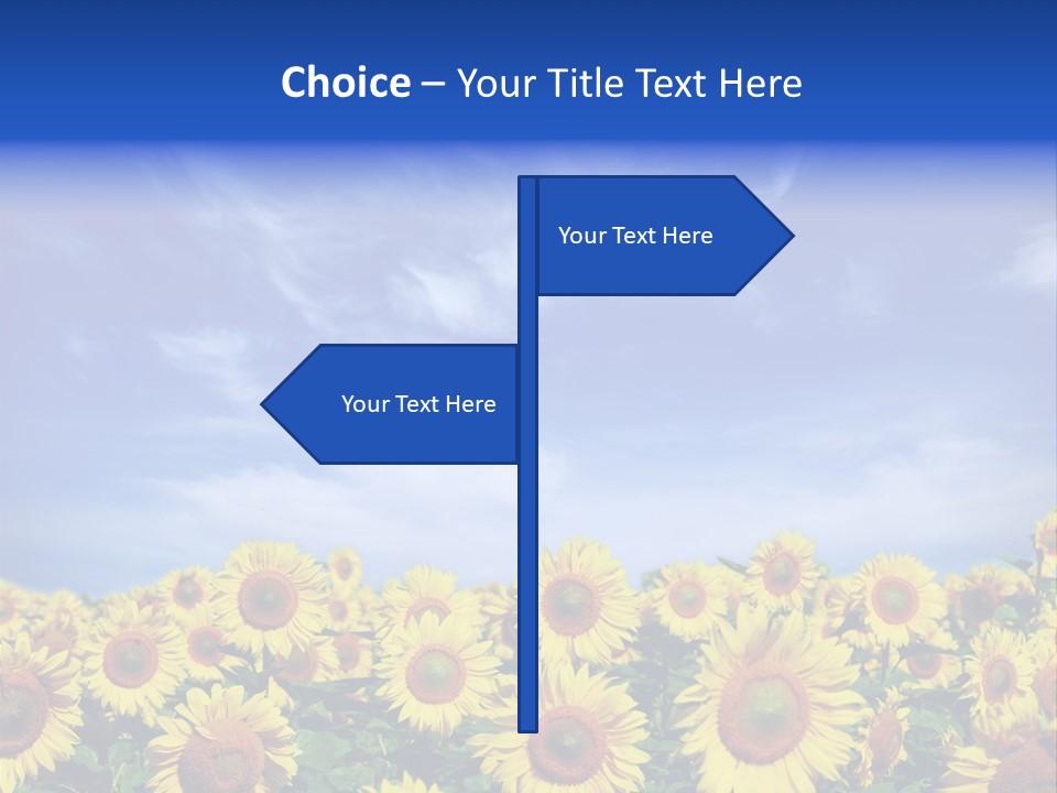 Sunny Field Growth PowerPoint Template