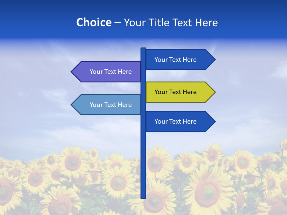 Sunny Field Growth PowerPoint Template