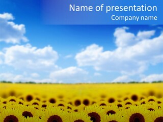 Plants Blue Sunflower PowerPoint Template