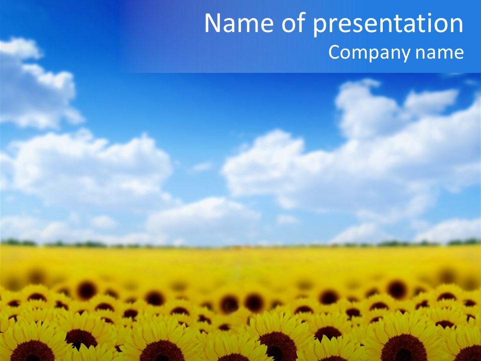 Plants Blue Sunflower PowerPoint Template