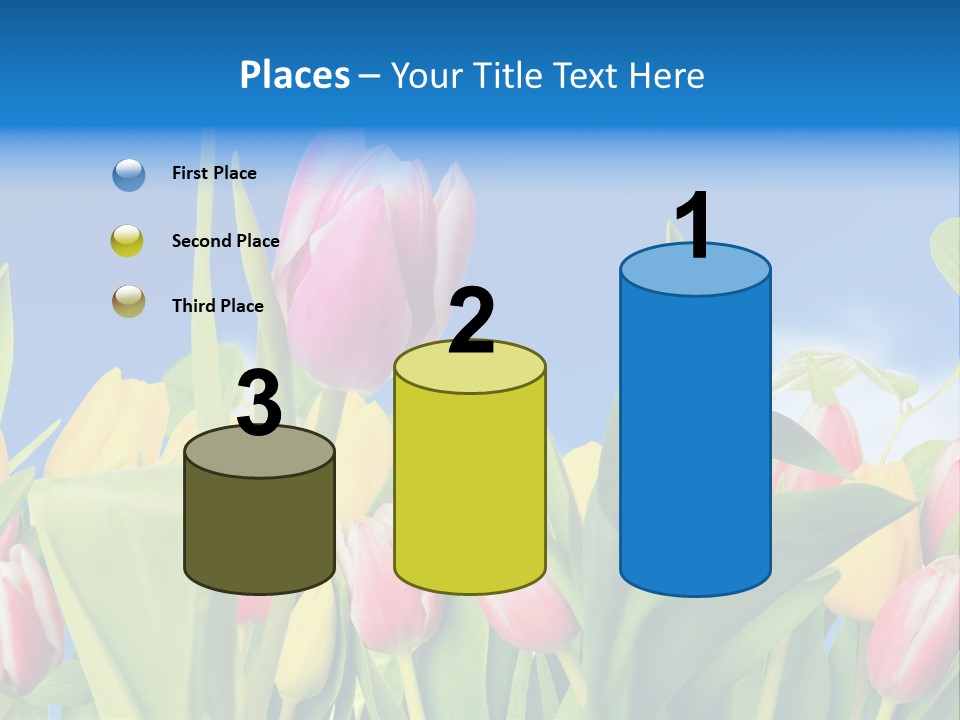 Himmel Feld Tulpen PowerPoint Template