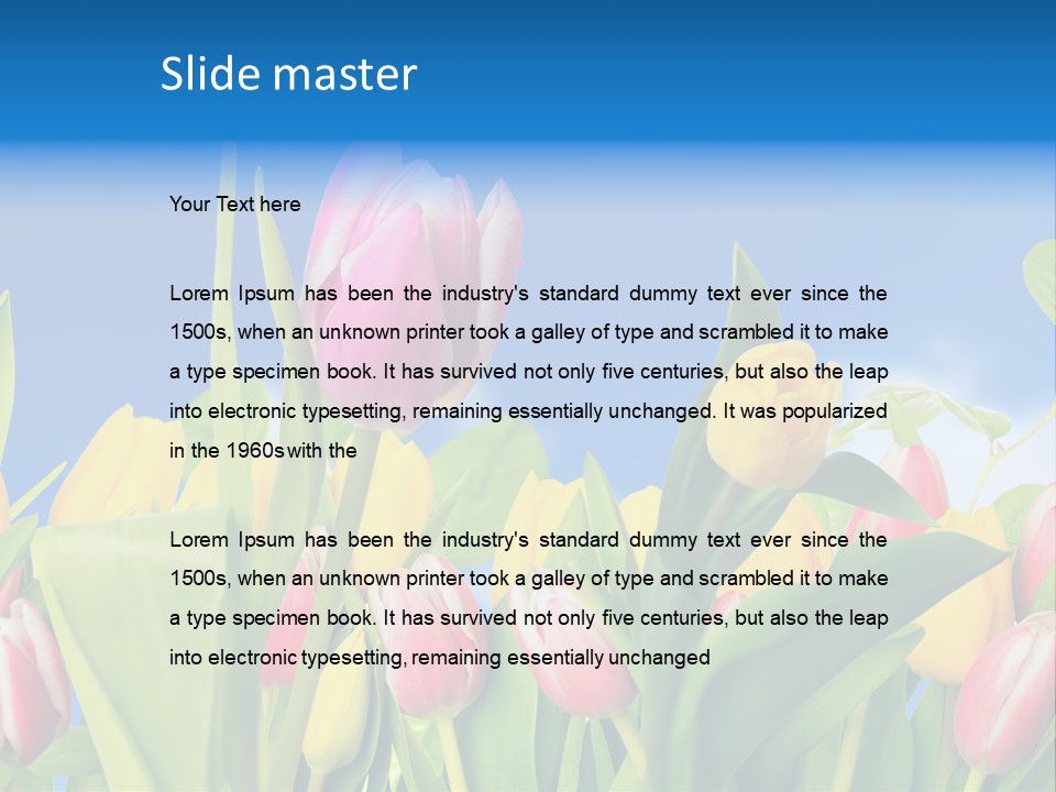 Himmel Feld Tulpen PowerPoint Template