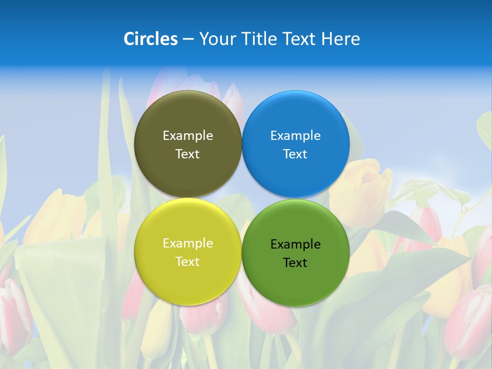 Himmel Feld Tulpen PowerPoint Template