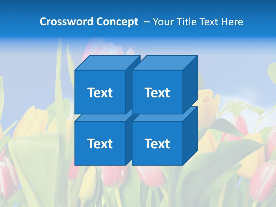 Himmel Feld Tulpen PowerPoint Template