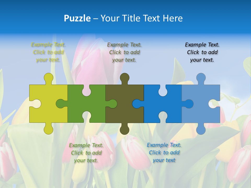 Himmel Feld Tulpen PowerPoint Template