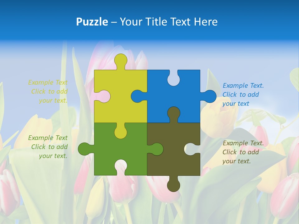 Himmel Feld Tulpen PowerPoint Template