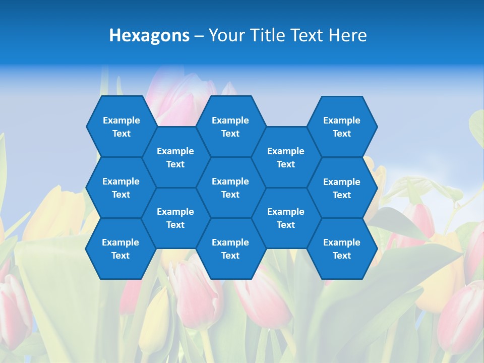 Himmel Feld Tulpen PowerPoint Template