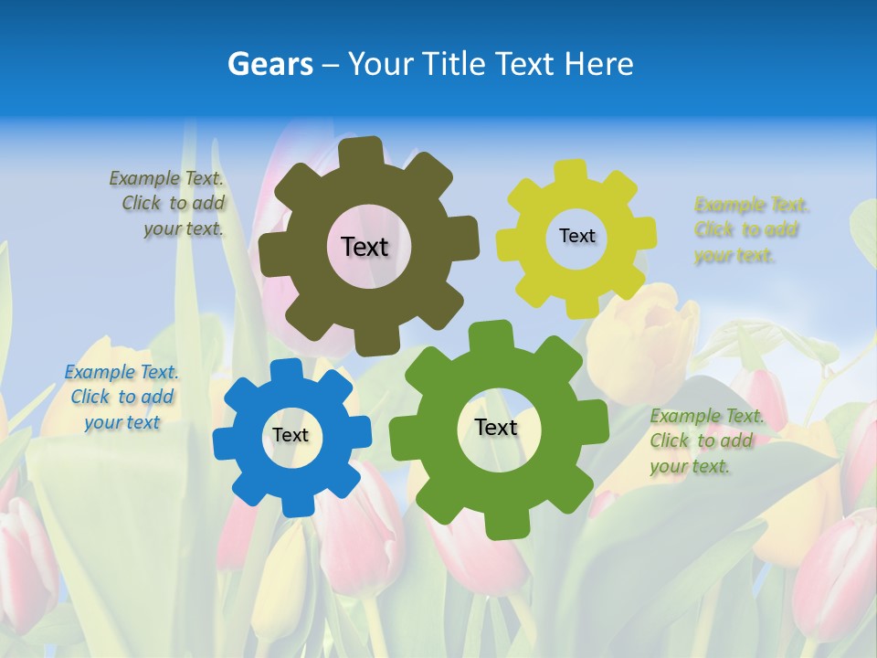 Himmel Feld Tulpen PowerPoint Template