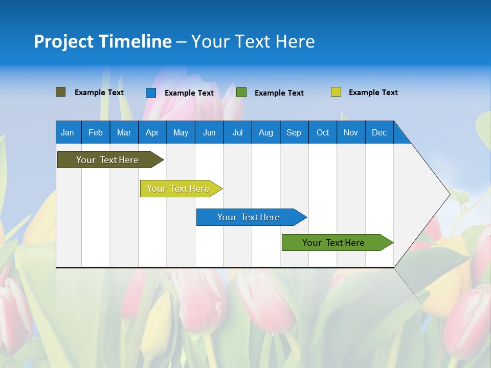Himmel Feld Tulpen PowerPoint Template