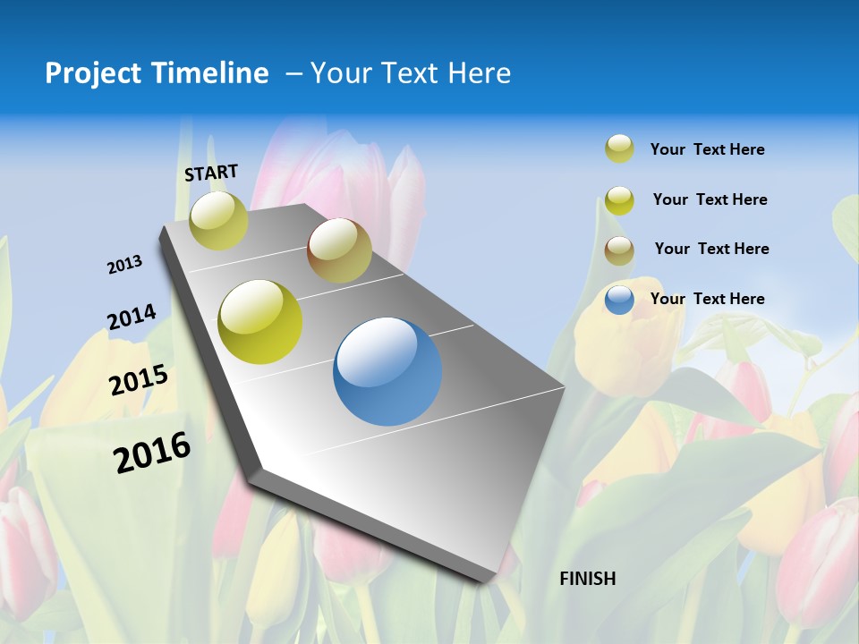 Himmel Feld Tulpen PowerPoint Template