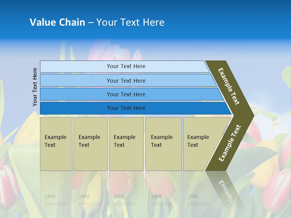 Himmel Feld Tulpen PowerPoint Template