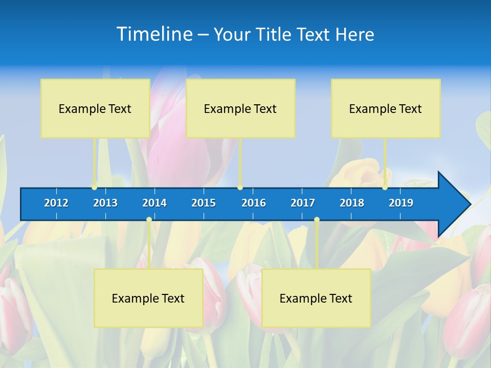 Himmel Feld Tulpen PowerPoint Template