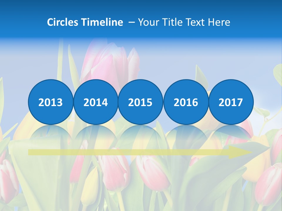 Himmel Feld Tulpen PowerPoint Template
