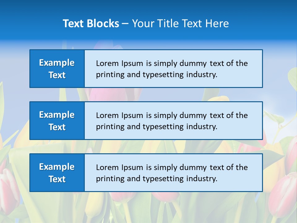 Himmel Feld Tulpen PowerPoint Template