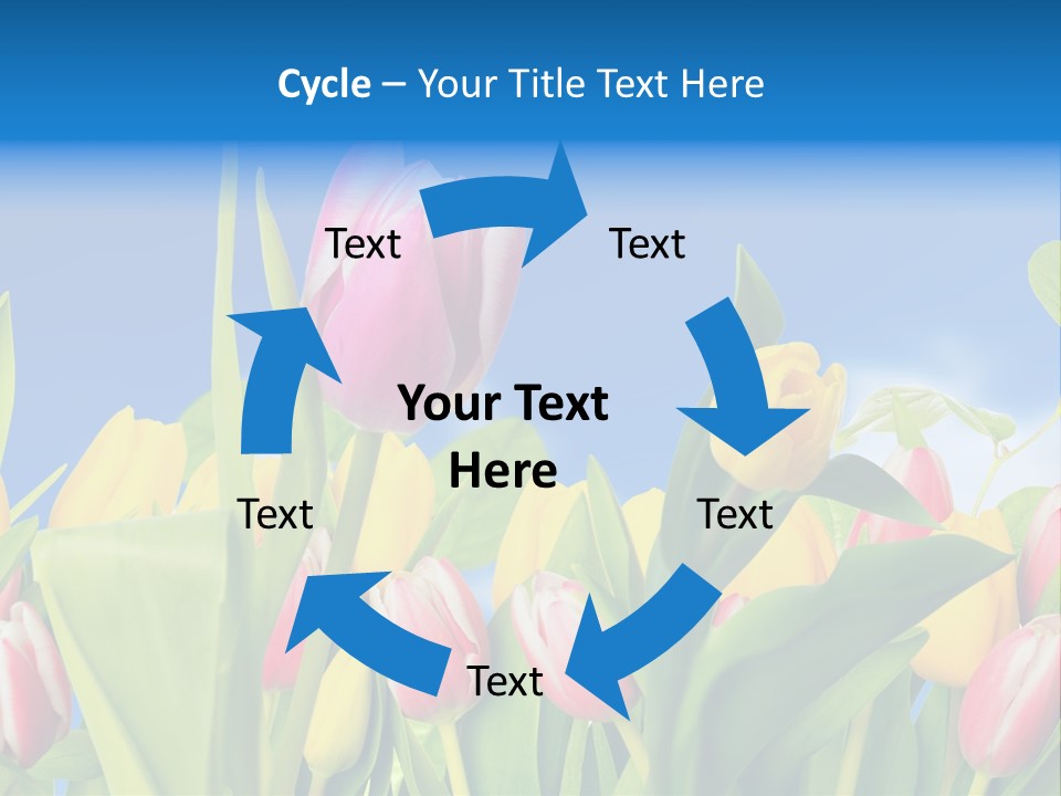 Himmel Feld Tulpen PowerPoint Template