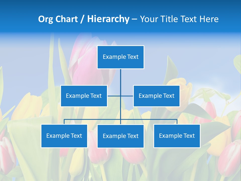 Himmel Feld Tulpen PowerPoint Template