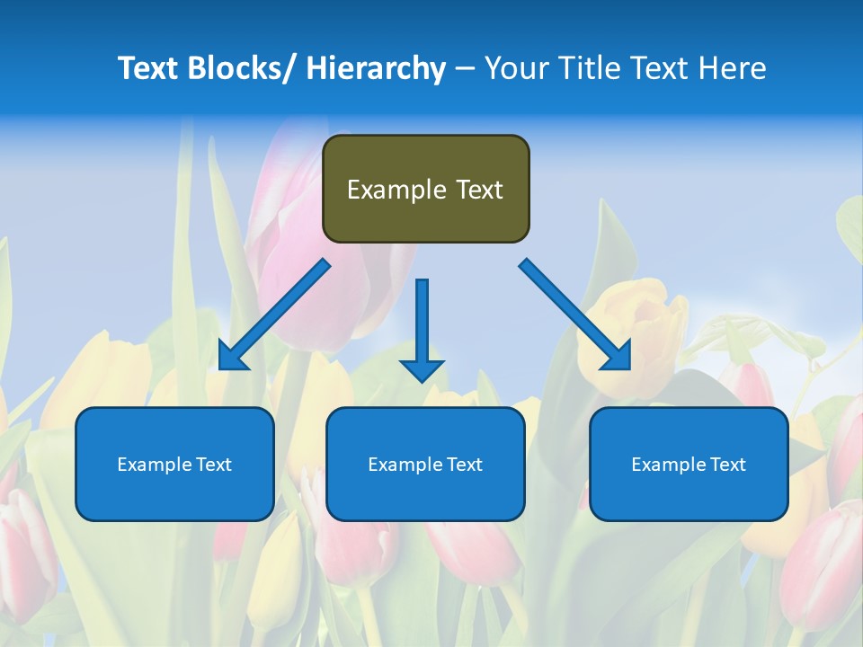 Himmel Feld Tulpen PowerPoint Template