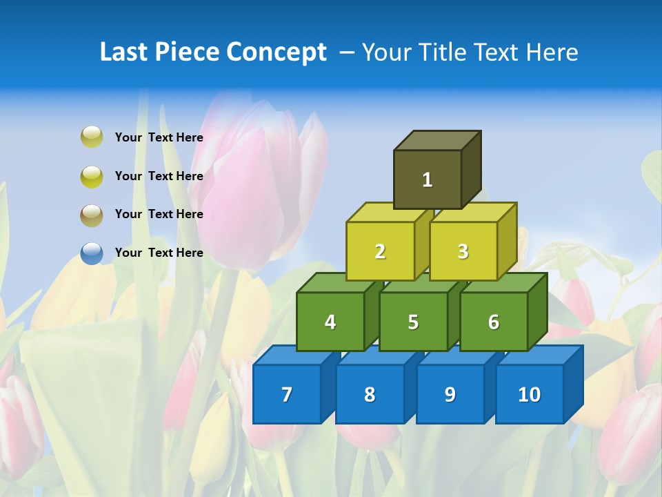 Himmel Feld Tulpen PowerPoint Template