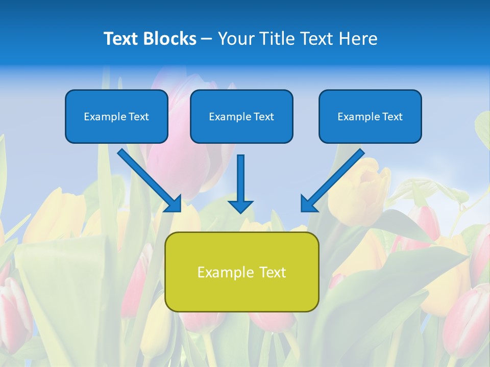 Himmel Feld Tulpen PowerPoint Template