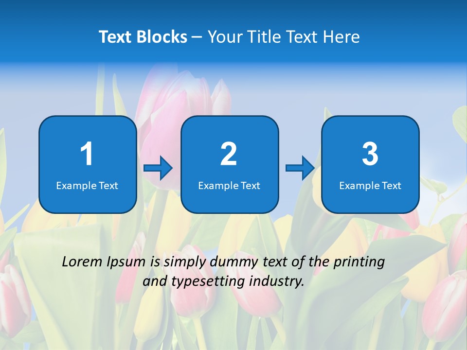 Himmel Feld Tulpen PowerPoint Template