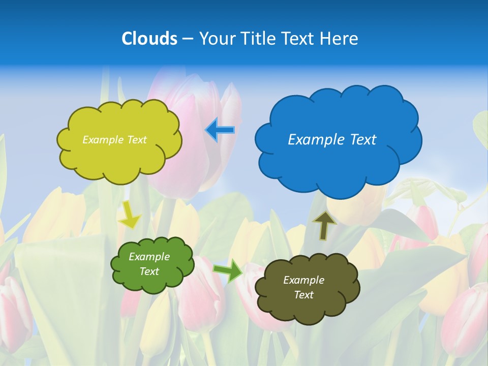 Himmel Feld Tulpen PowerPoint Template