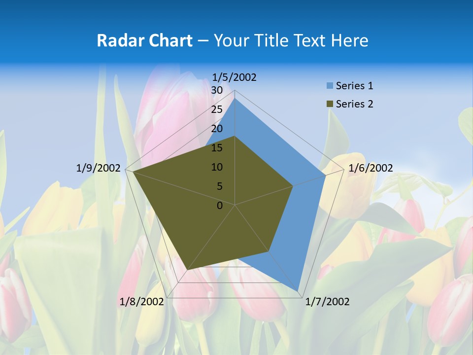 Himmel Feld Tulpen PowerPoint Template
