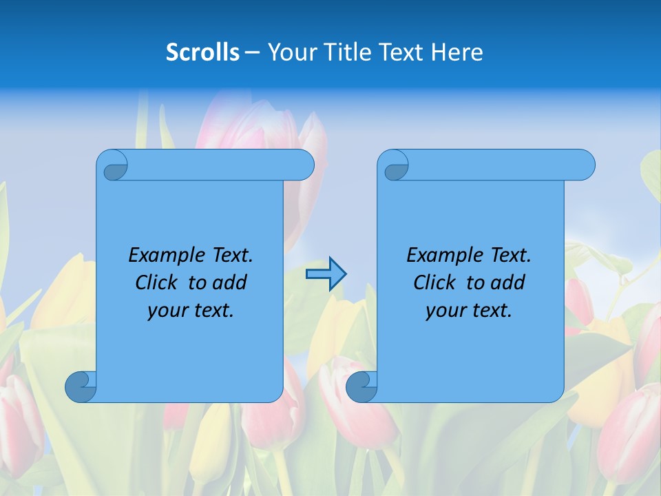 Himmel Feld Tulpen PowerPoint Template