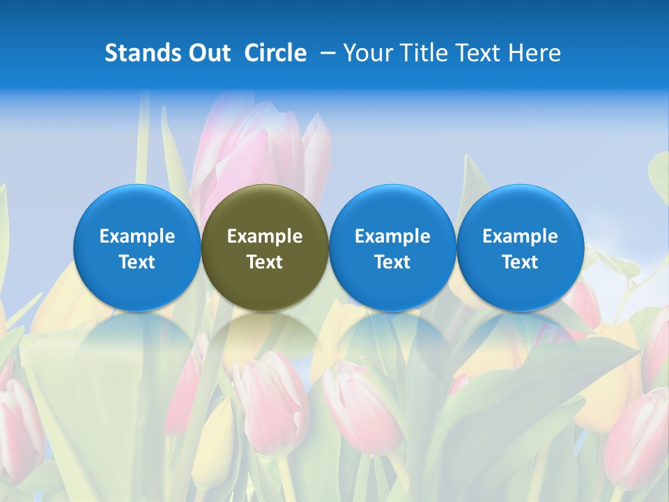 Himmel Feld Tulpen PowerPoint Template