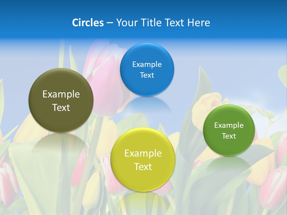 Himmel Feld Tulpen PowerPoint Template