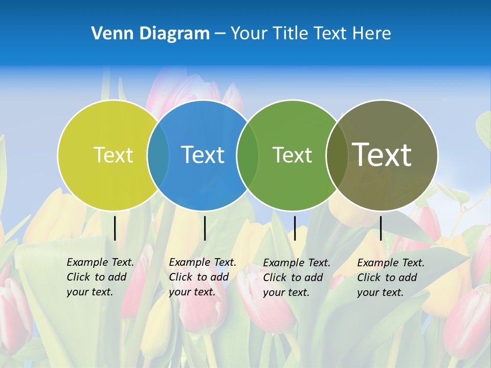 Himmel Feld Tulpen PowerPoint Template