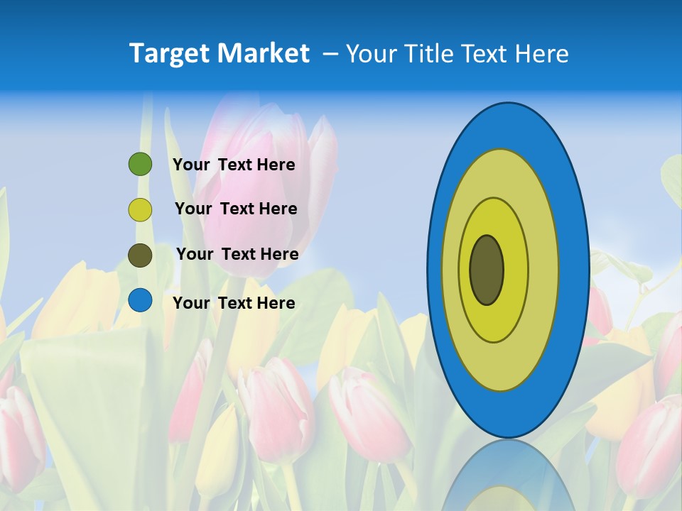Himmel Feld Tulpen PowerPoint Template