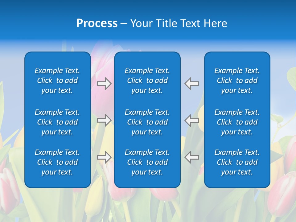 Himmel Feld Tulpen PowerPoint Template