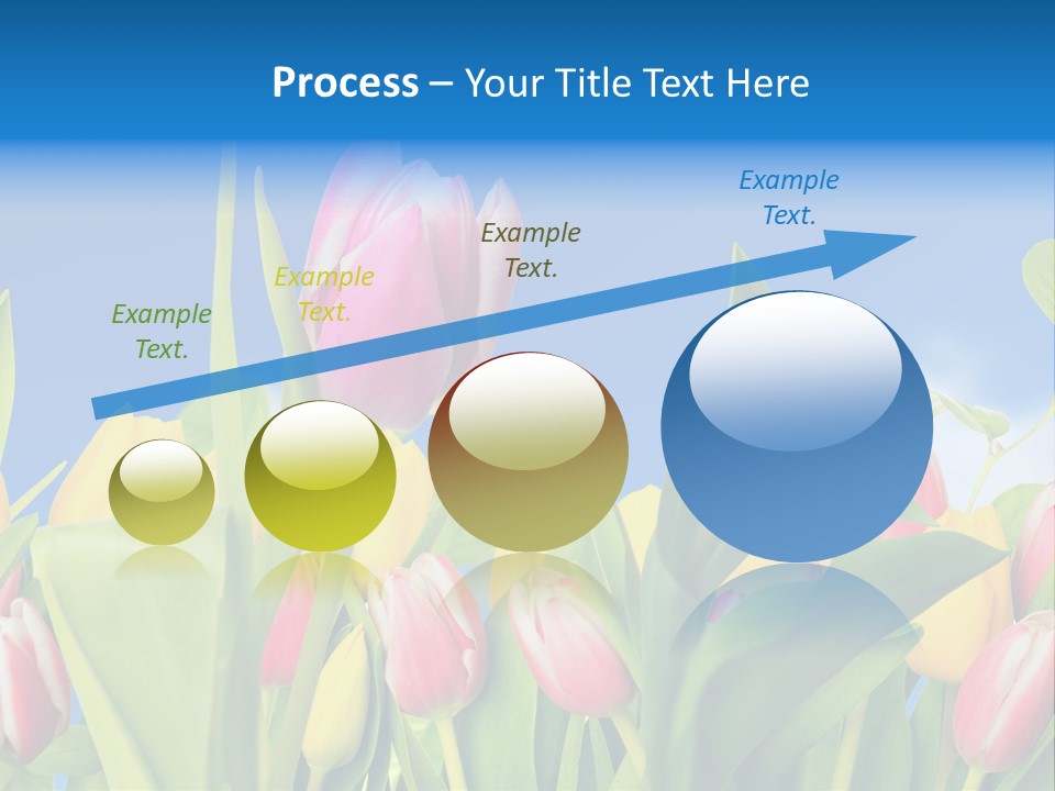 Himmel Feld Tulpen PowerPoint Template