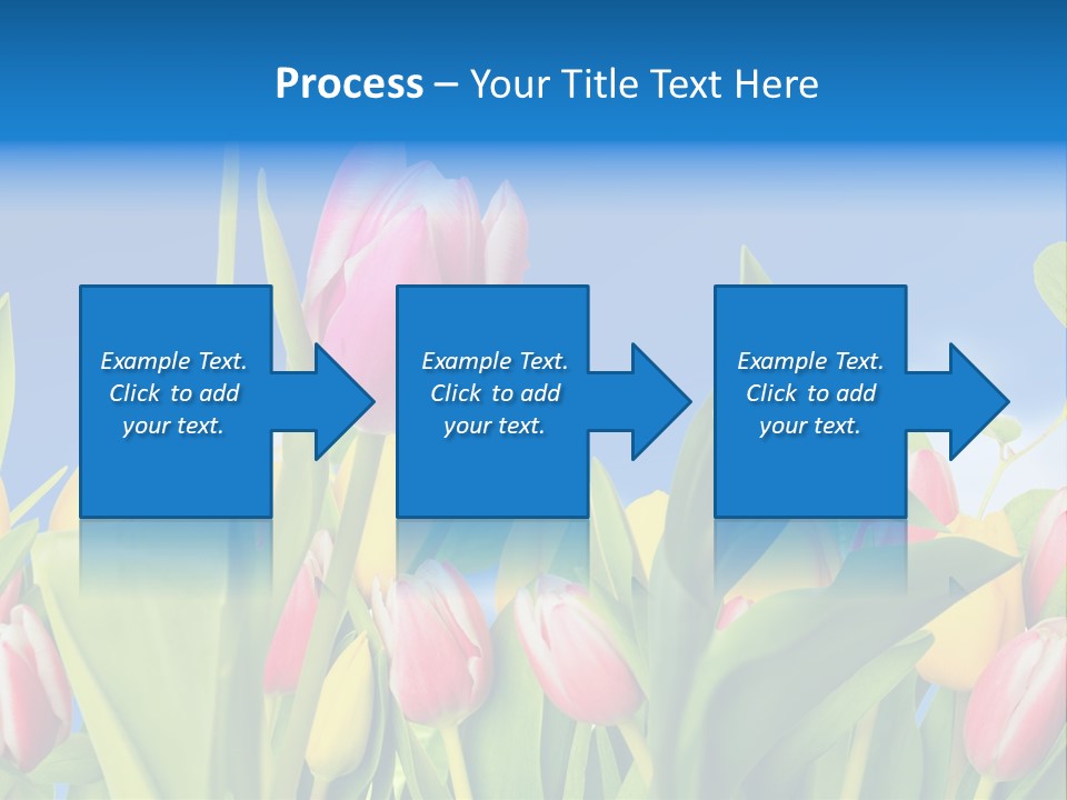 Himmel Feld Tulpen PowerPoint Template