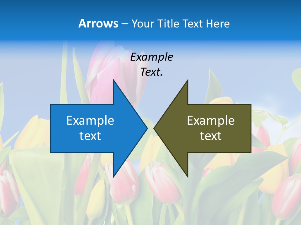 Himmel Feld Tulpen PowerPoint Template