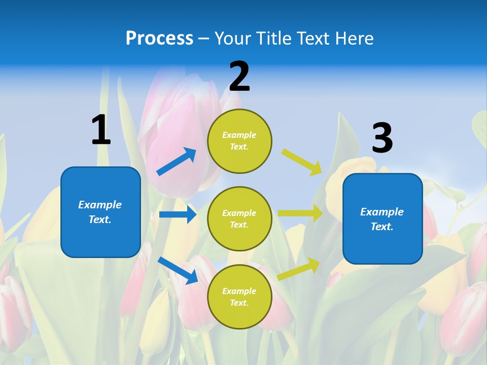 Himmel Feld Tulpen PowerPoint Template