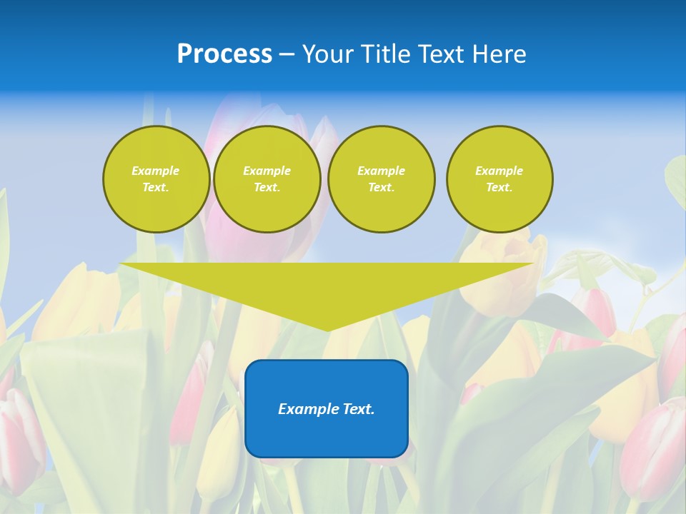 Himmel Feld Tulpen PowerPoint Template
