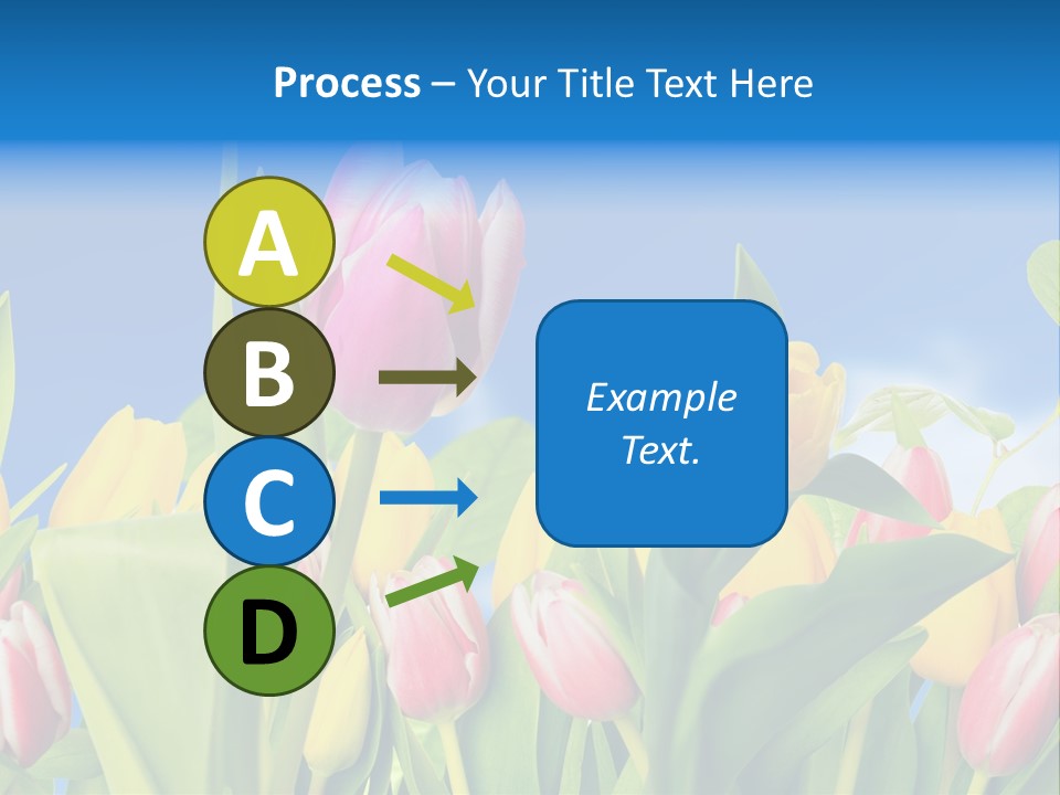 Himmel Feld Tulpen PowerPoint Template