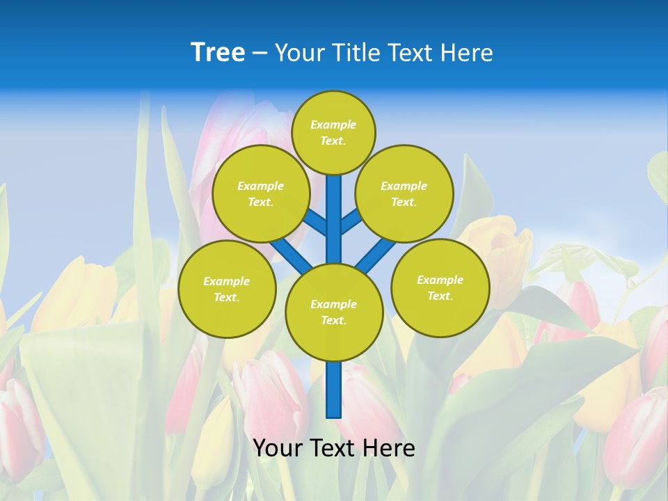 Himmel Feld Tulpen PowerPoint Template