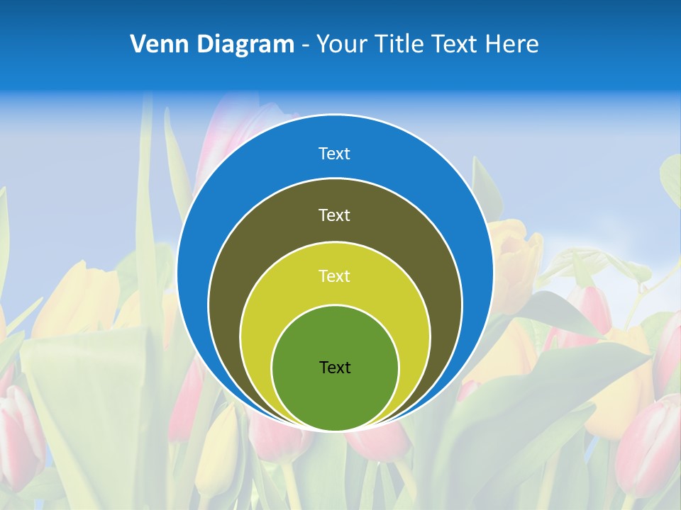 Himmel Feld Tulpen PowerPoint Template