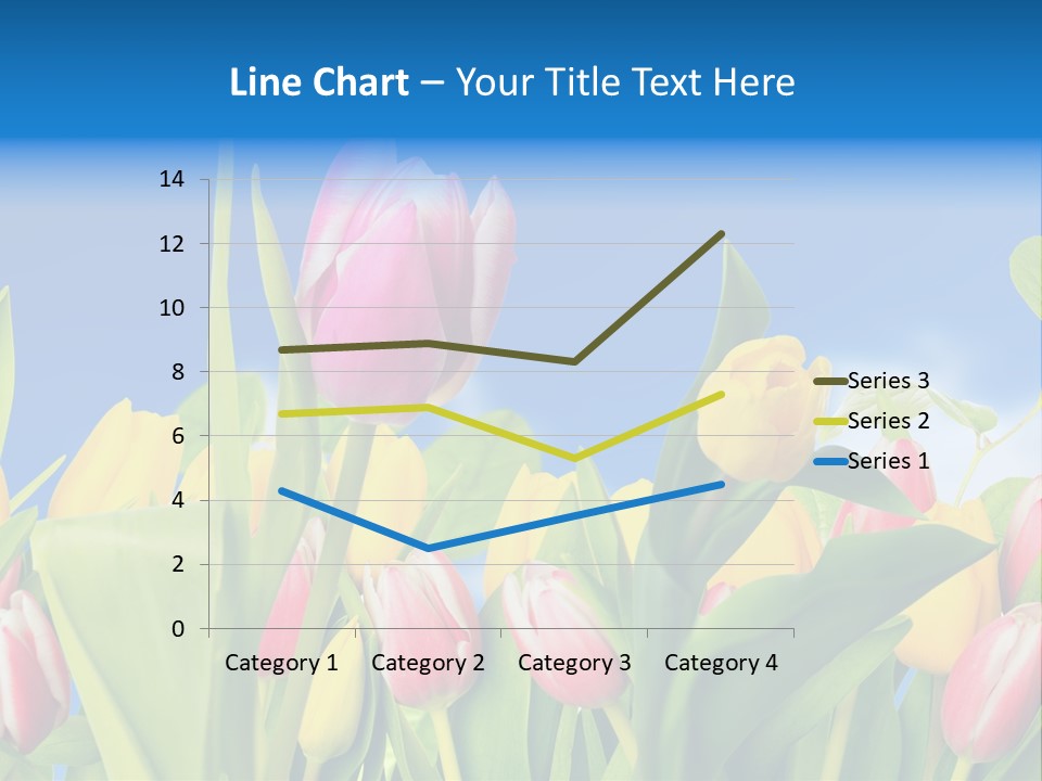 Himmel Feld Tulpen PowerPoint Template