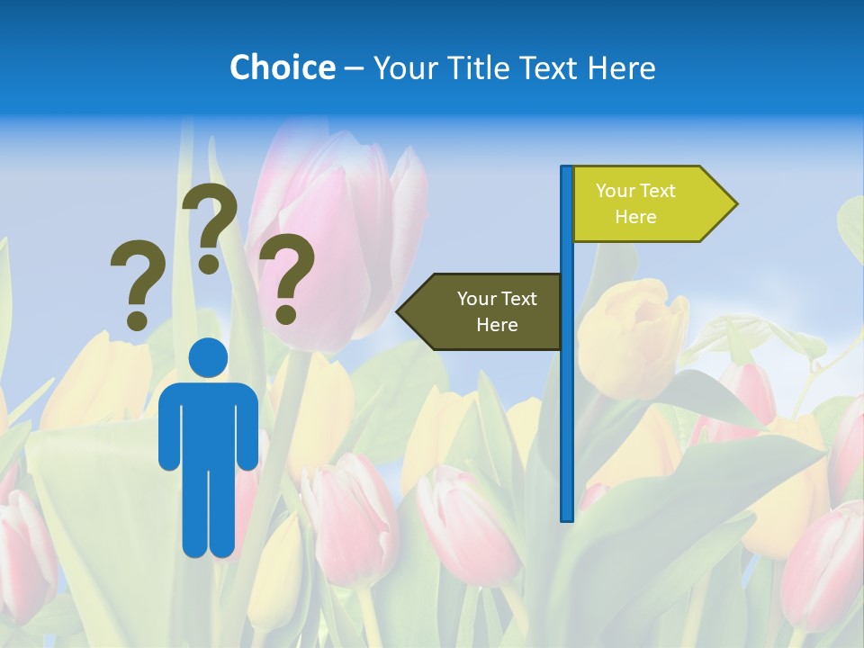 Himmel Feld Tulpen PowerPoint Template