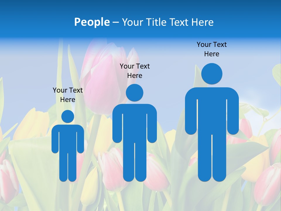 Himmel Feld Tulpen PowerPoint Template