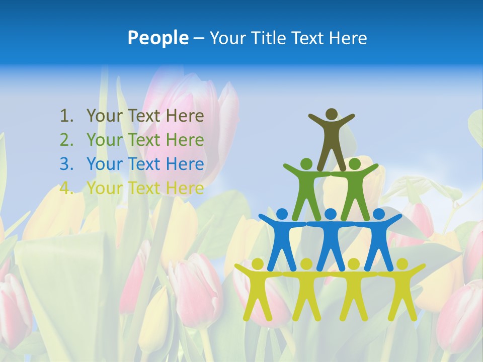Himmel Feld Tulpen PowerPoint Template