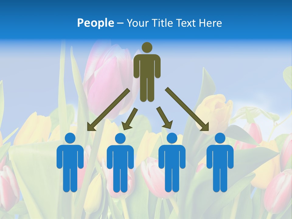 Himmel Feld Tulpen PowerPoint Template