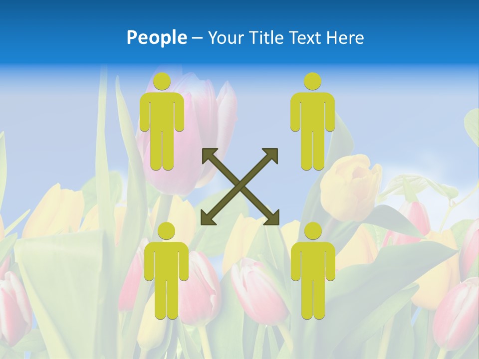 Himmel Feld Tulpen PowerPoint Template