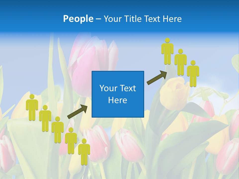 Himmel Feld Tulpen PowerPoint Template