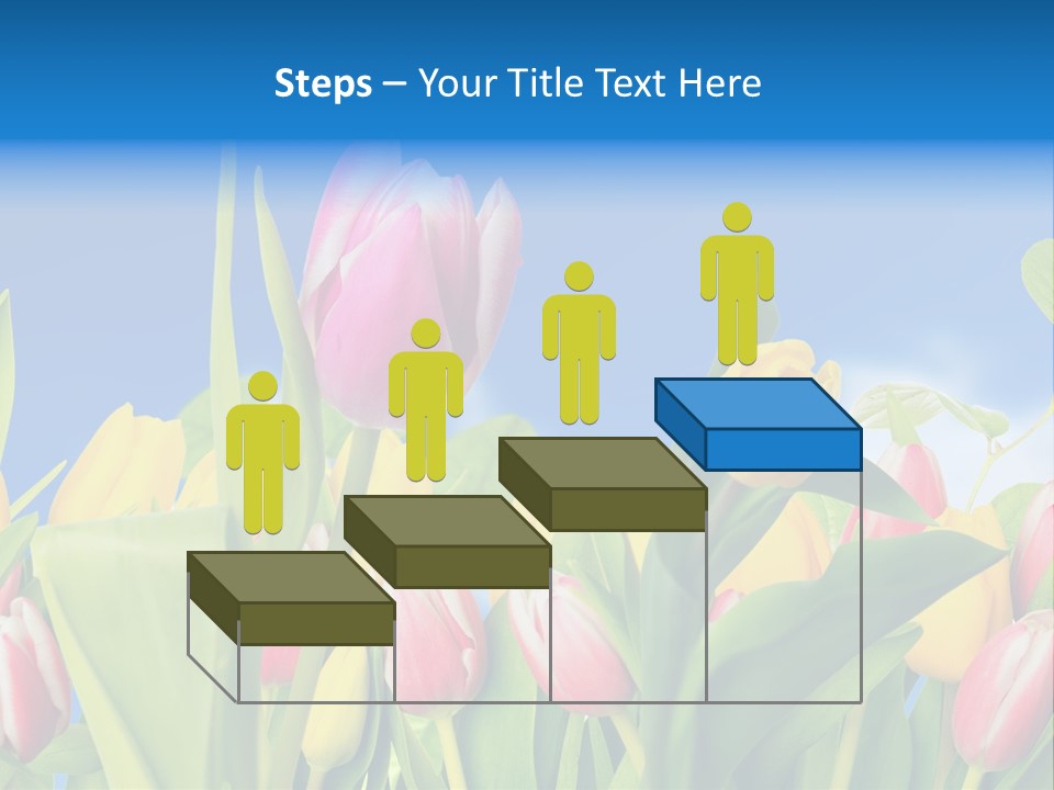 Himmel Feld Tulpen PowerPoint Template